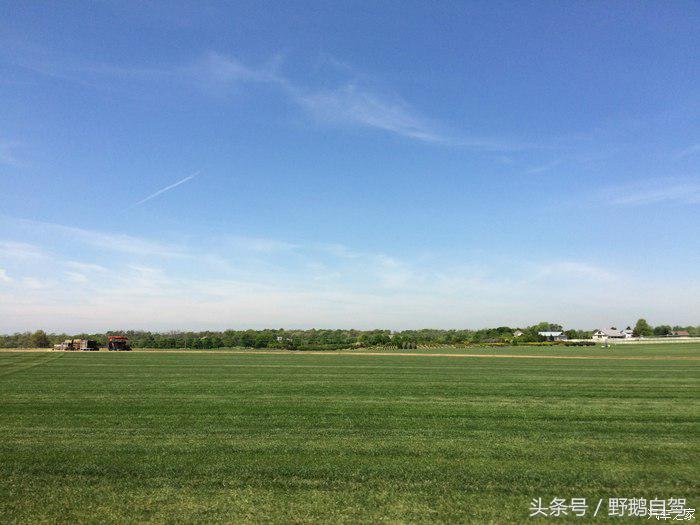 野鹅旅行,野鹅自驾无人区