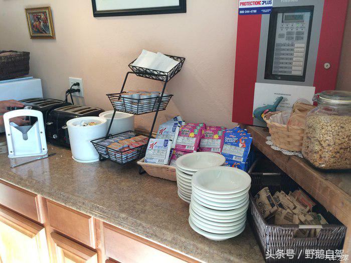 野鹅旅行,野鹅自驾无人区