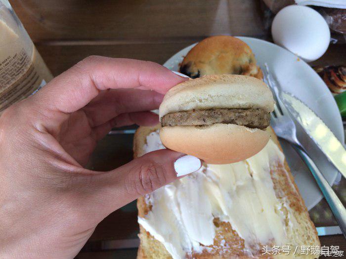 野鹅旅行,野鹅自驾无人区