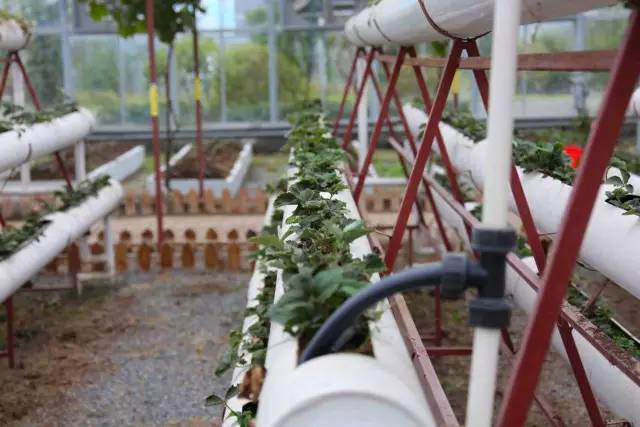 美丽安徽行视频,美丽安徽行齐云山