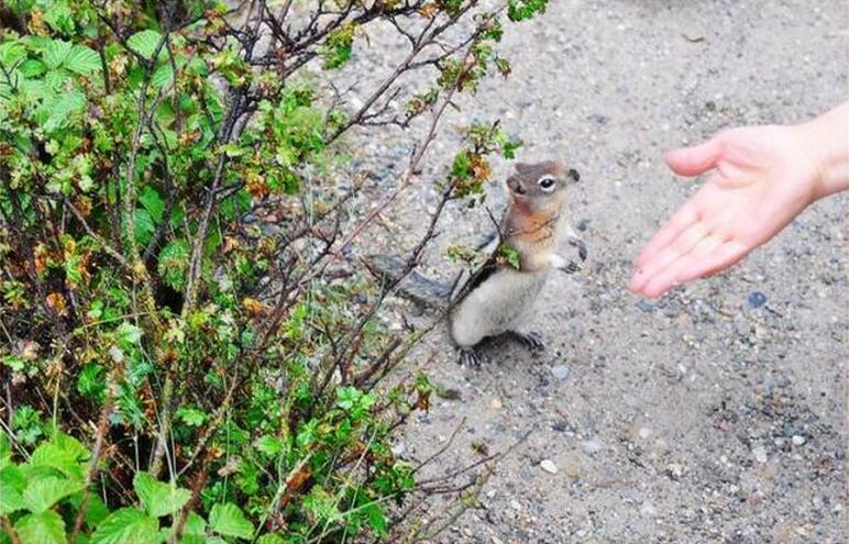 落基山最美的秘境,落基山秀丽的风景