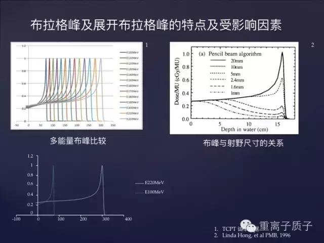 [精品课件]TCPT王鹏:质子治疗的基本物理原理