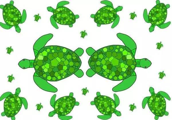 龟胶滋补品,滋补龟胶