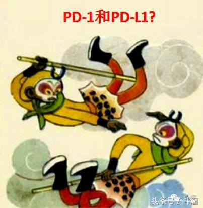 晚期肺癌唯一免疫药物在美国正式上市