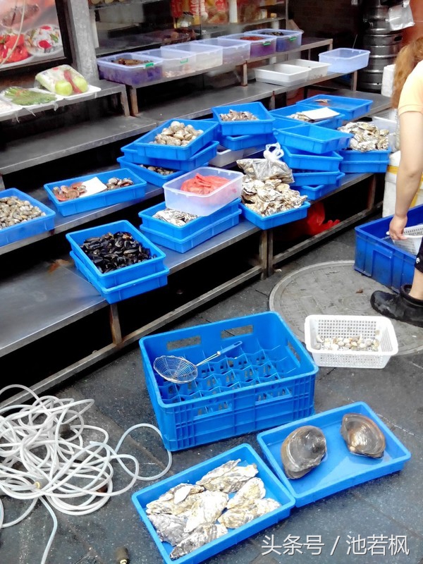 青岛,女汉子和小清新提前过端午