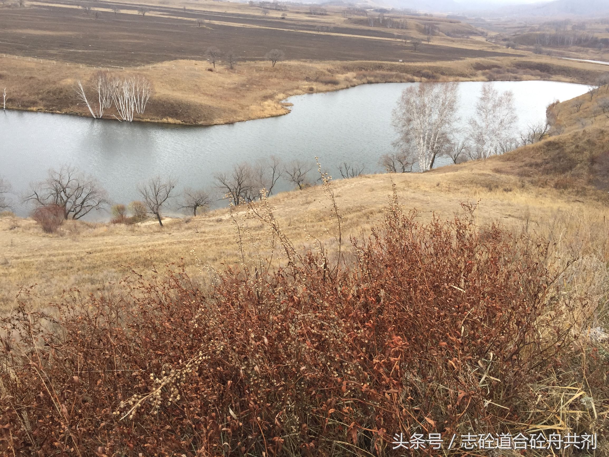 粉煤灰石灰石粉检测,石灰石粉检测方法有几种