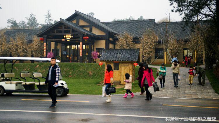 我的家乡崇阳市,家乡美我的故乡原唱