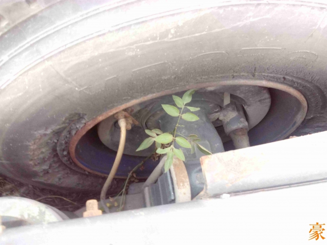 东风霸龙507售价,霸龙重卡507是什么车型