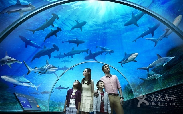 河南郑州免费旅游攻略,河南郑州免费景点有哪些