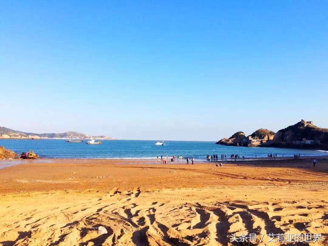 生活不止杯中的枸杞还有诗和远方 (生活不止有诗和远方 还有枸杞)