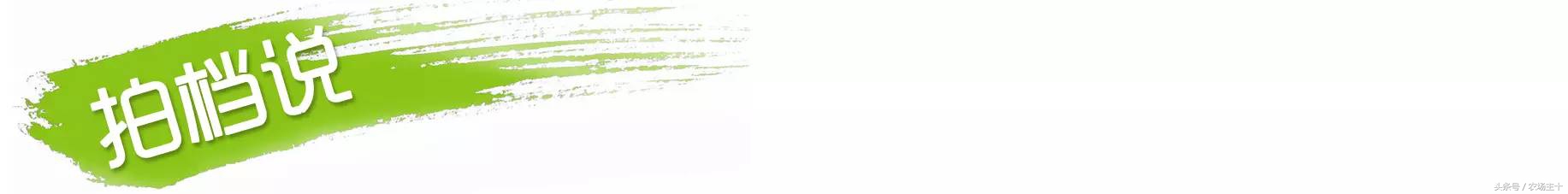 成功的休闲农庄需要具备哪些条件,做休闲农庄必须考虑的几个问题