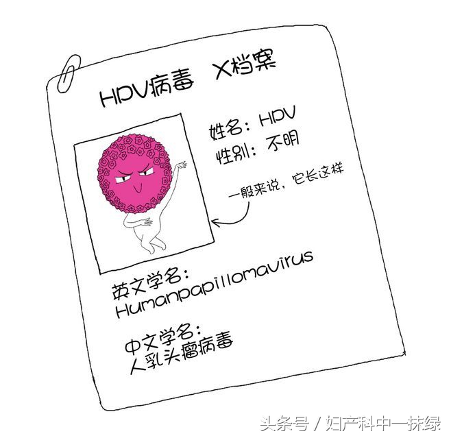 二价四价九价的hpv疫苗有什么区别,四价和九价hpv疫苗有什么不同图片