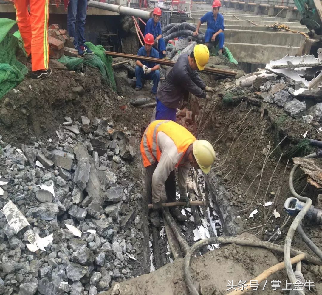 中医医院效果图大全,中医诊所效果图大全