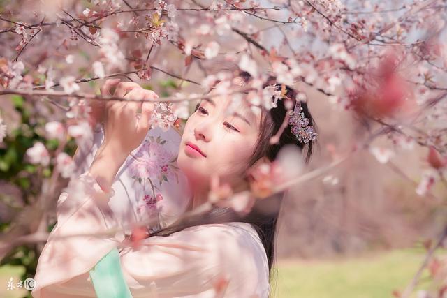 白莲花上门挑衅后续,白莲花上门挑衅直接给了一巴掌