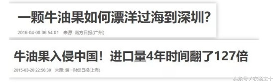 牛油果这么难吃，怎么变成大爆款？这可能是最成功的*脑洗**型营销