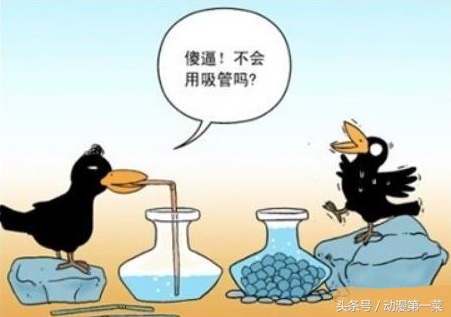 乌鸦喝水一年级上册语文课本,原来小学课本上的乌鸦喝水是真的