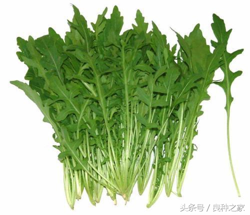 餐桌上常见的本土作物是什么,10种常见的粮食作物