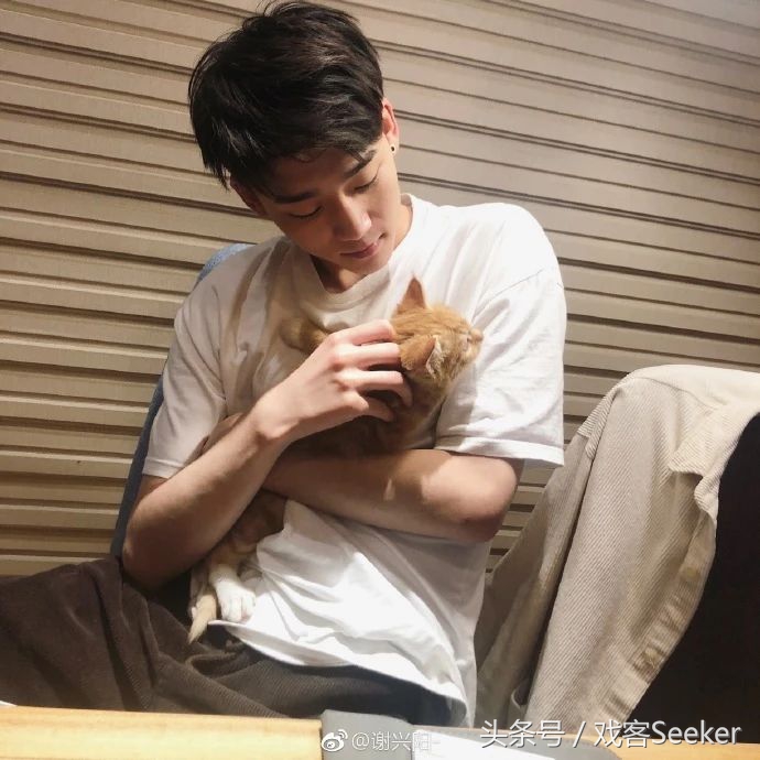 北电上戏中戏实力排行,北电比上戏录取分数线谁更高