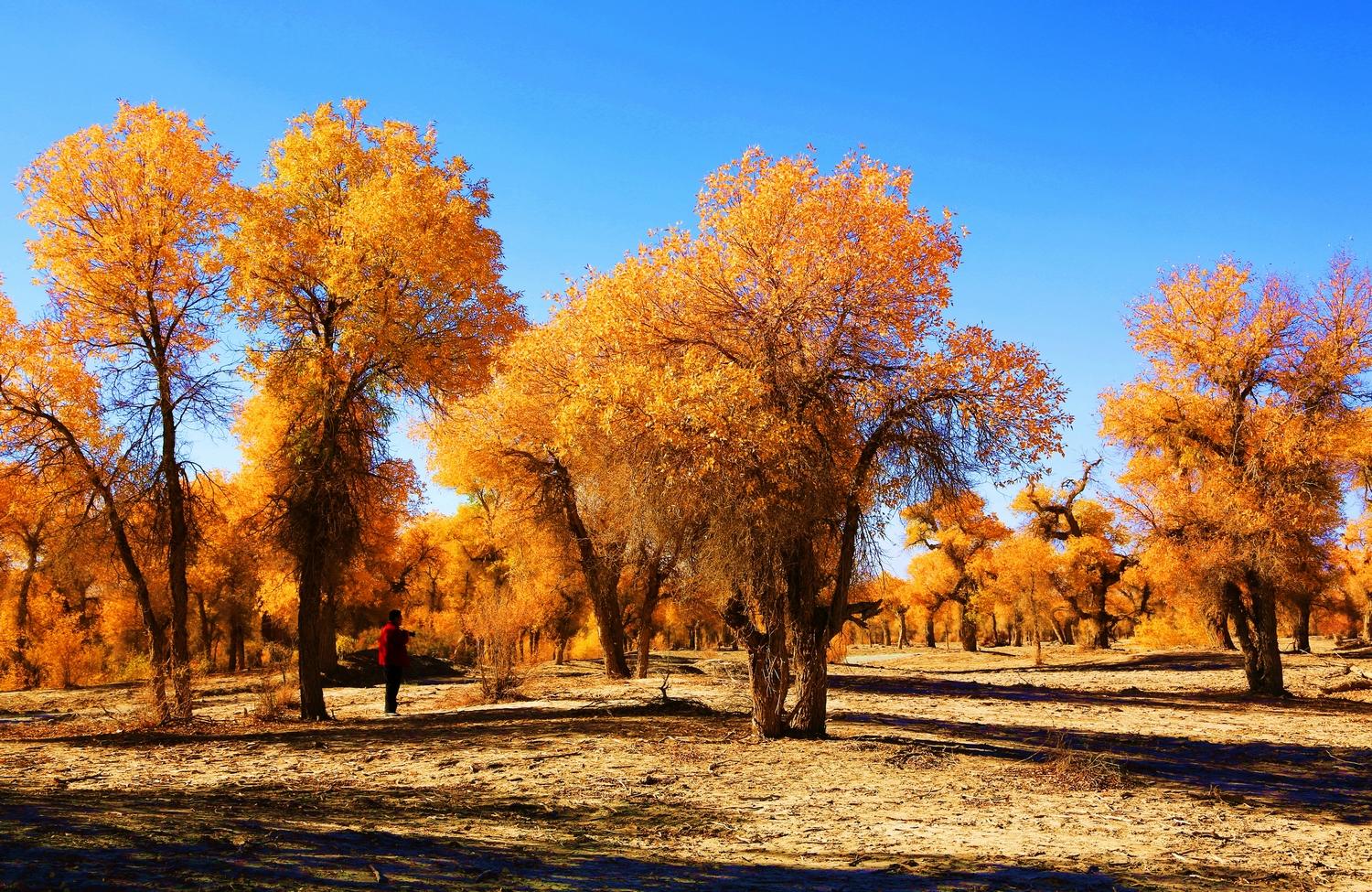 新疆的盐湖复活了吗,死海真实现状