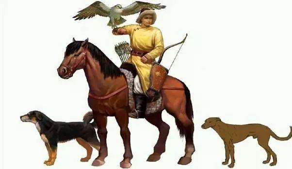 回族不吃猪肉，满族不吃狗肉，那汉族不吃啥肉？其实很多人淡忘了