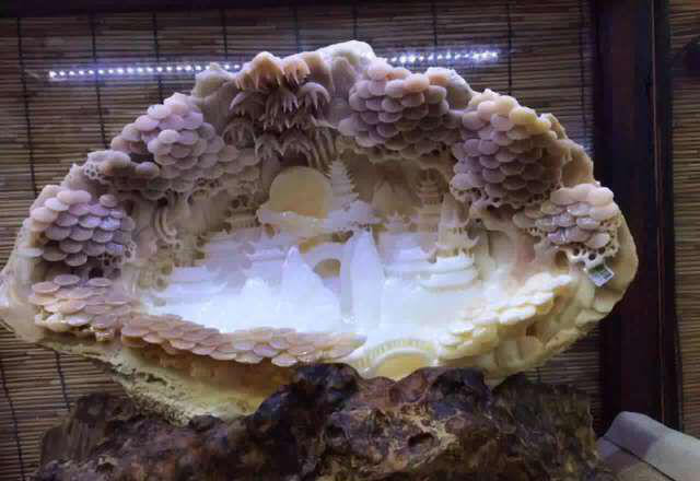 世界上最珍稀的珍珠贝壳,最大的贝壳珍珠