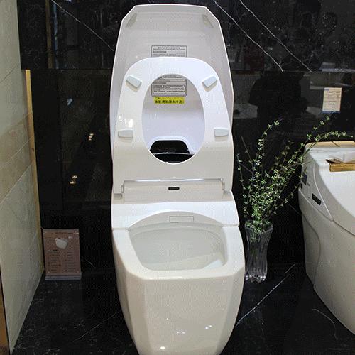 洋品牌马桶,马桶国外天价