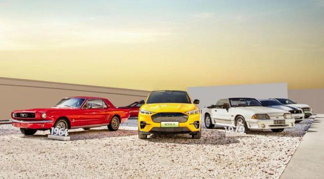 杨大勇最新录屏,杨大勇短视频