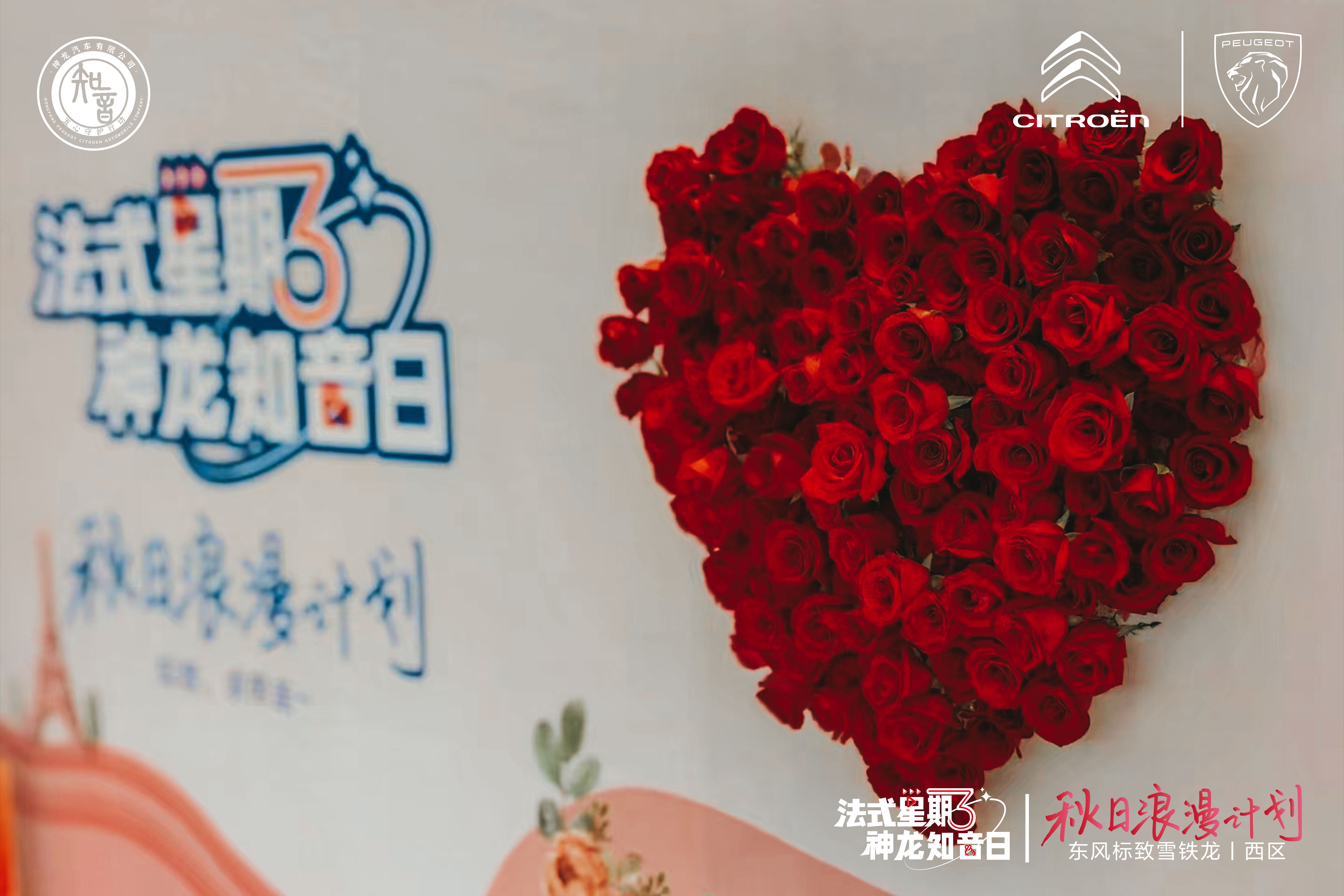 法式星期三直播,法式星期三