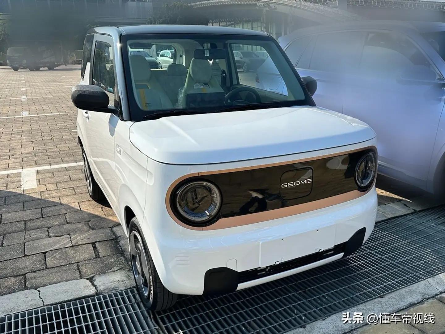 吉利熊猫mini电动车价格,吉利熊猫mini电动汽车会再降价吗