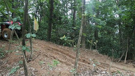 春日旅游踏青计划,春日自驾游活动主题