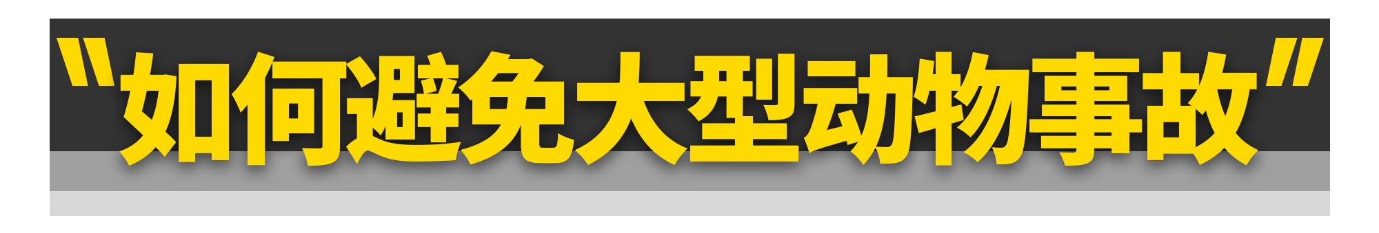谢大脚出车祸是当场死亡吗,谢大脚车祸身亡是怎么回事