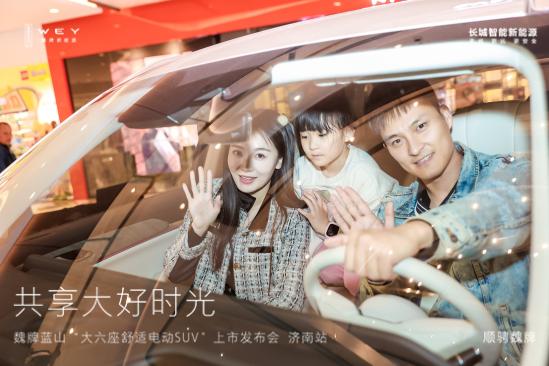 魏牌蓝山降价多少入手合适,2024款魏牌蓝山纯电续航