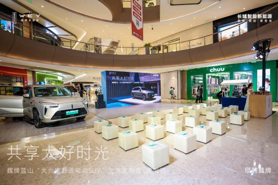 魏牌蓝山降价多少入手合适,2024款魏牌蓝山纯电续航