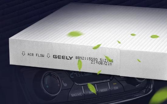 汽车也能导致过敏,柳絮花粉过敏的原因