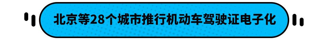 电子驾照要来了你申领了吗,电子驾照终于到手了