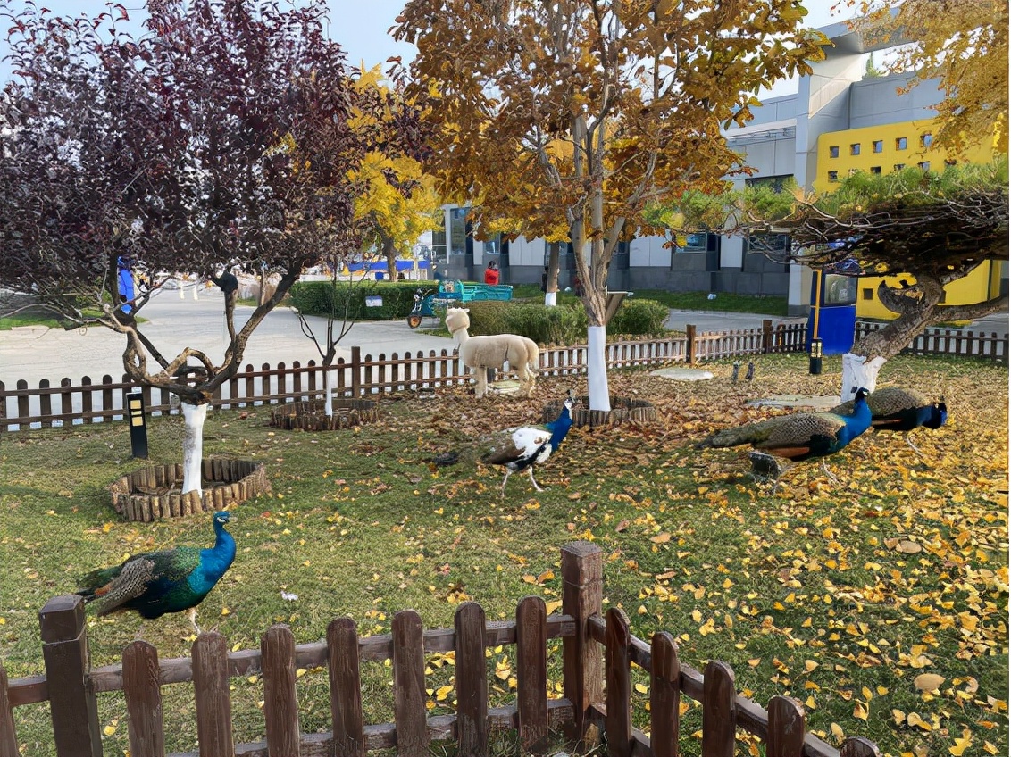 智能学车和教练教车哪个比较好,学车必须要有老司机