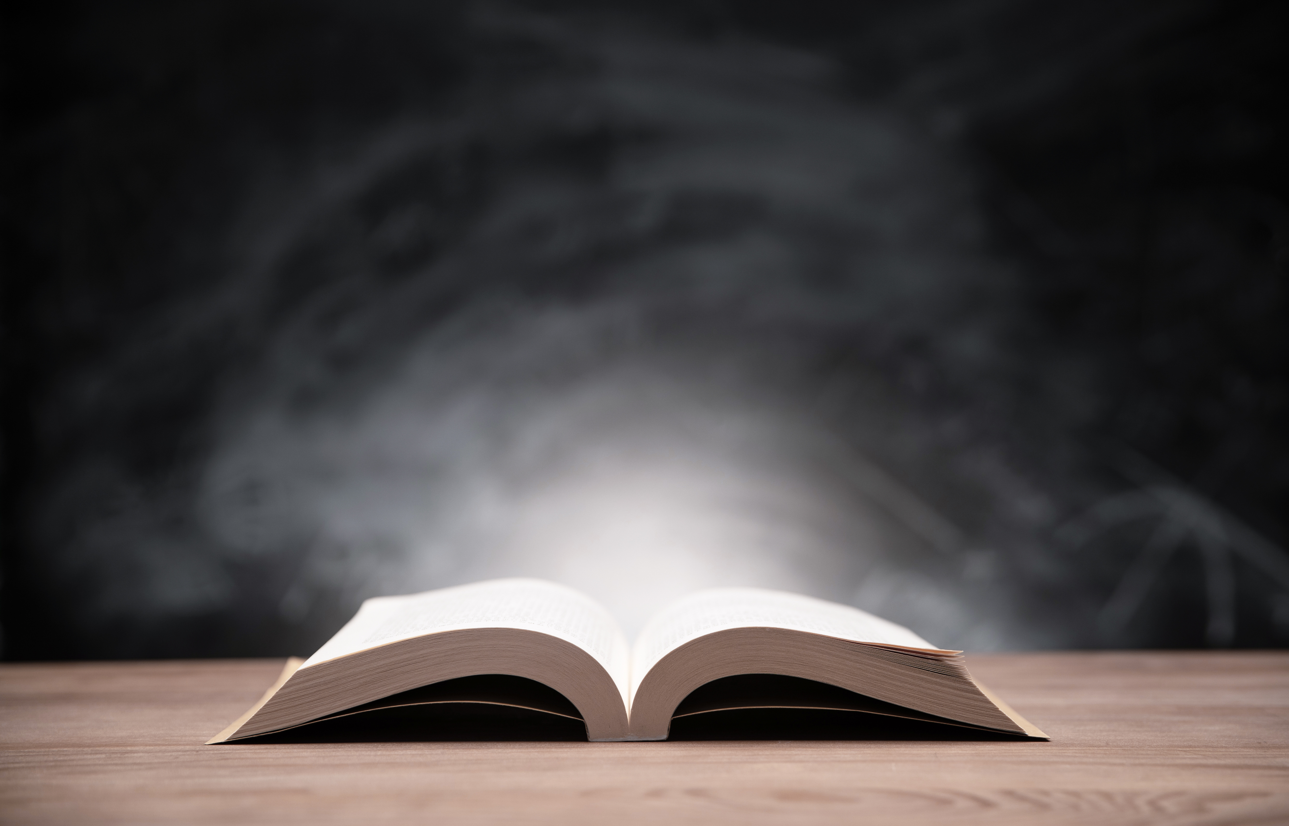 不为人知的风吹草动什么意思,不为人知的风吹草动是什么意思