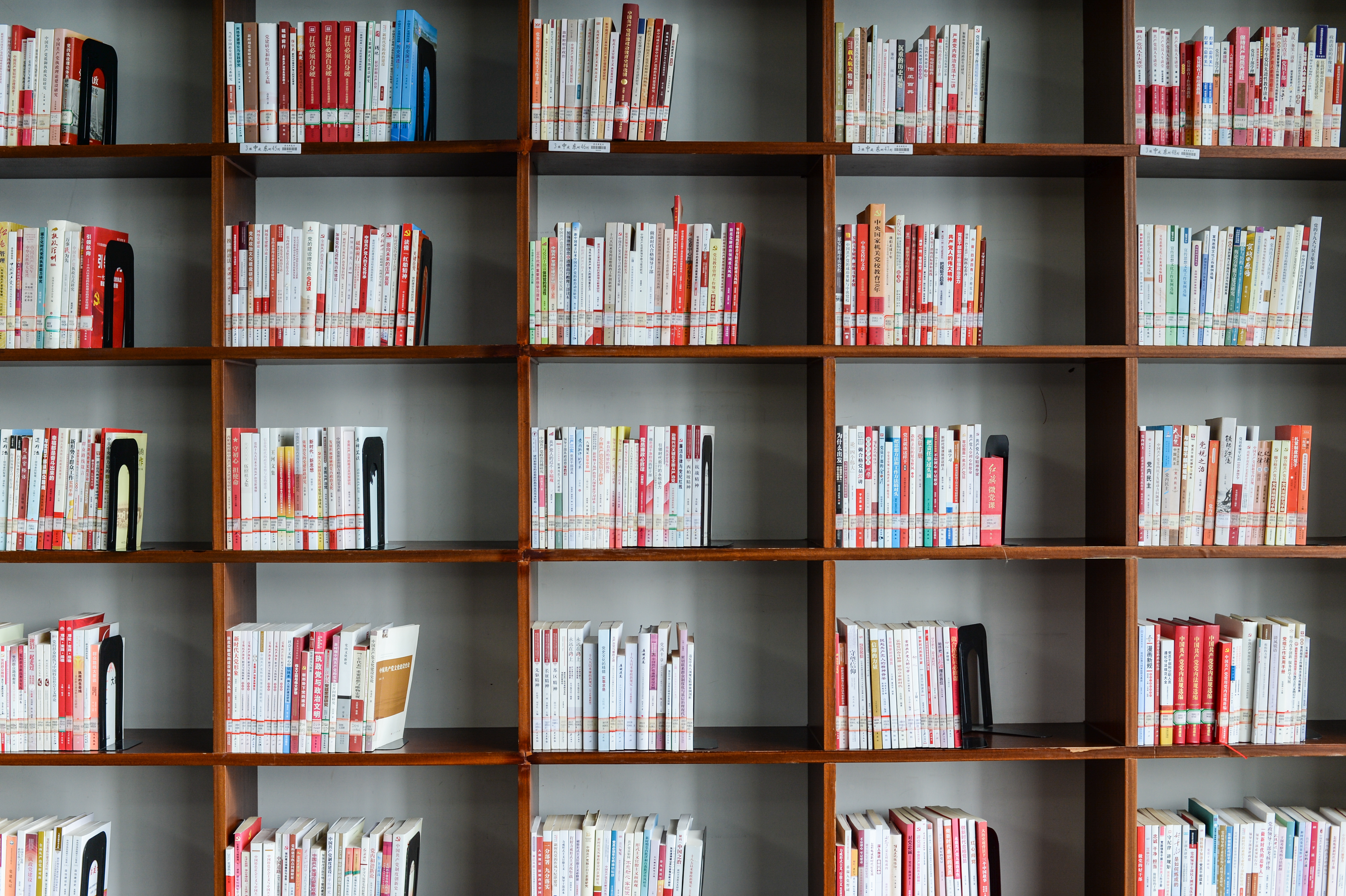 社会学入门知识讲解,社会学基础必背知识点