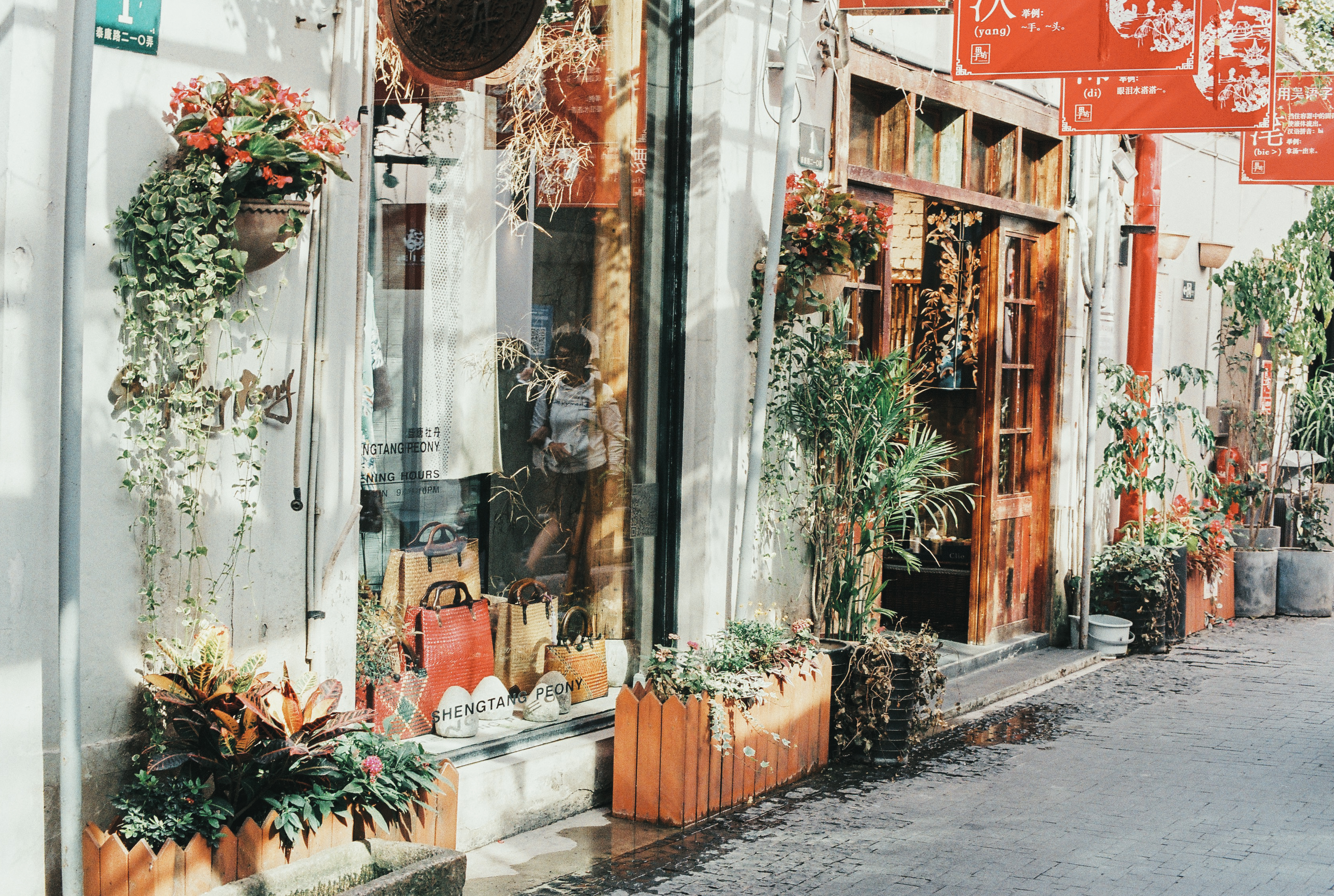 女孩身患重病，跌倒在神秘洞穴中昏迷，醒来发现自己已然痊愈