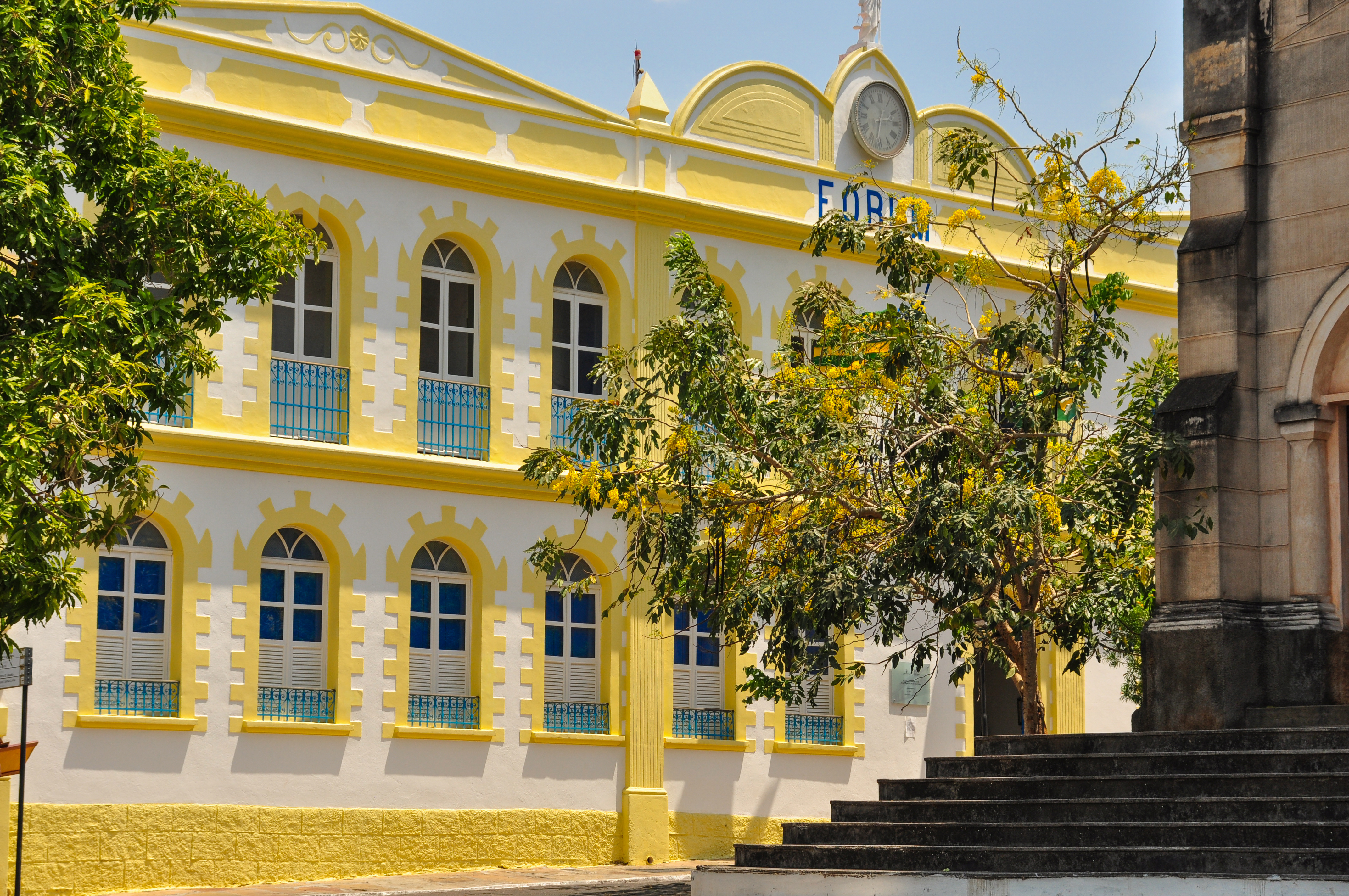 书痴命运,书痴内容简介