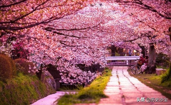 太宰治是悲剧作家吗,太宰治经典书籍推荐