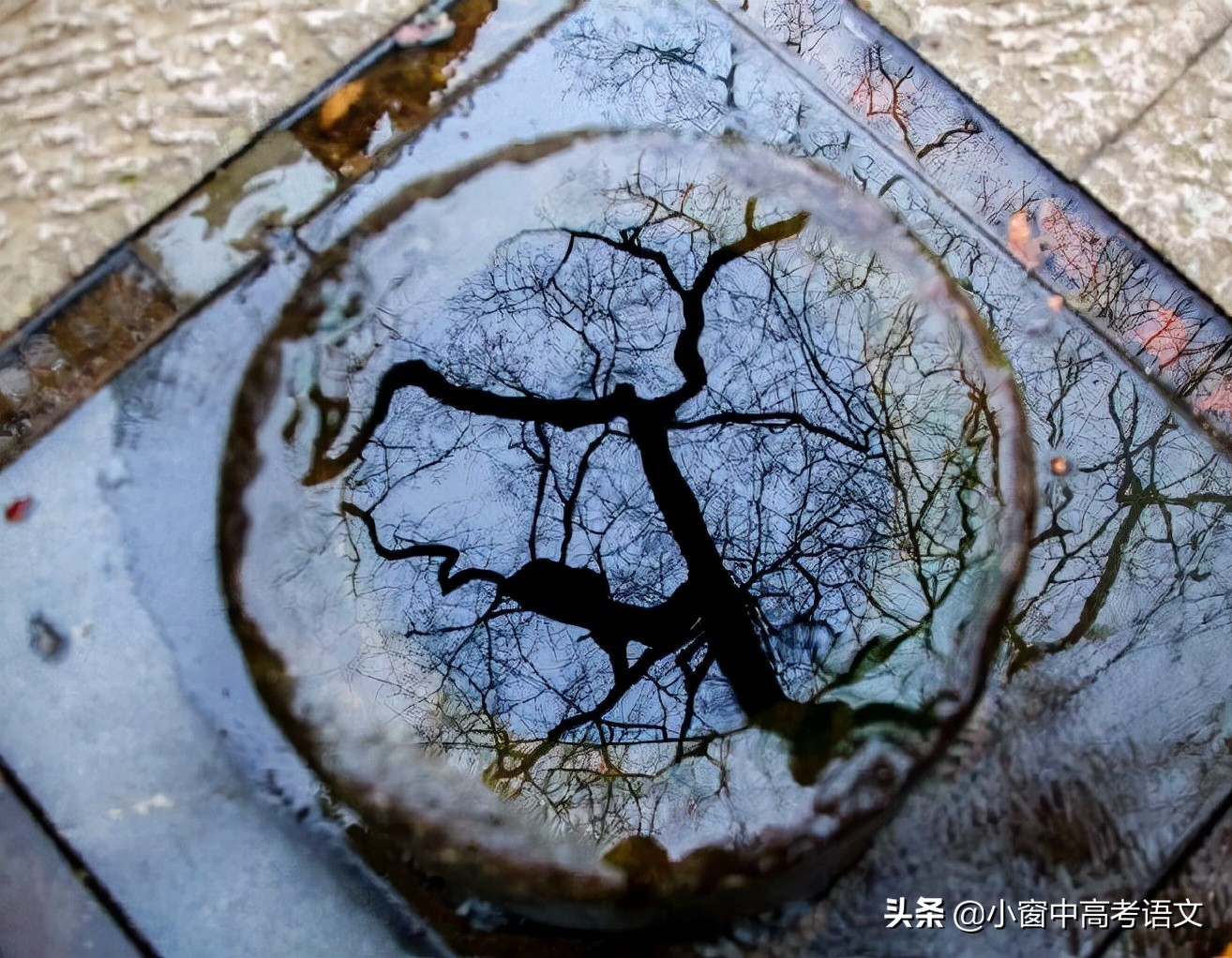 高三语文一轮复习文言文常识题目,高考语文120个文言文实词用法巧记