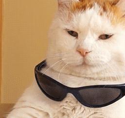 lv双肩包动物园,虎头背包动物园