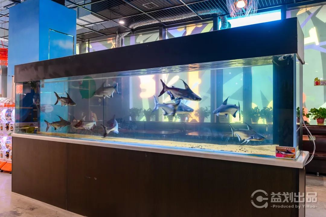 大连么么哒动物园 (大连小众动物园)