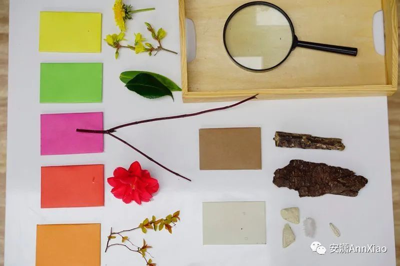 有哪些早教游戏,早教机构早教游戏