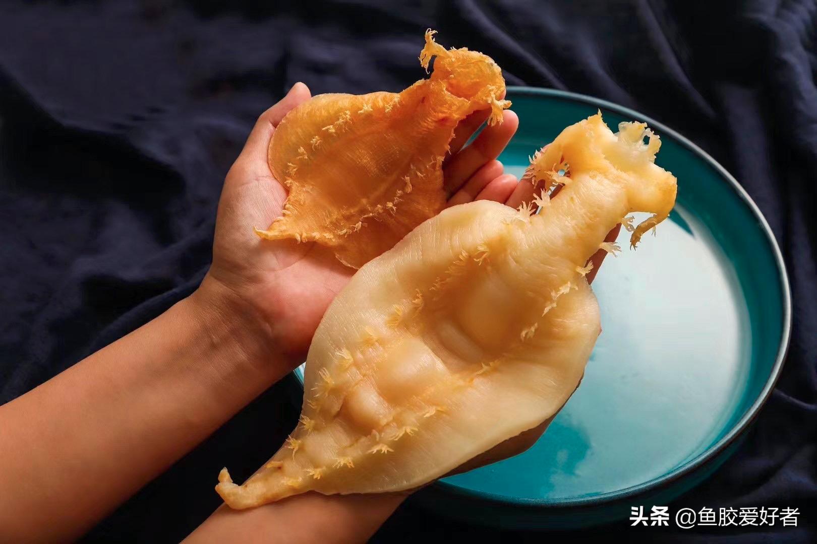 鱼胶的正确泡发方法教程,鱼胶的正确泡发方法和步骤