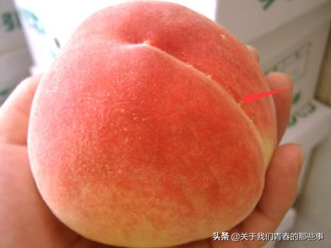 桃农告诉你，桃子没有这条线，就不是自然长熟的，告诉家人别买错