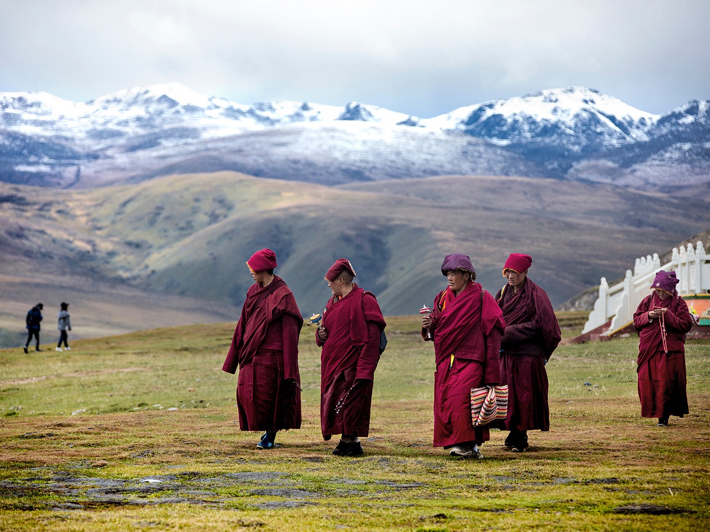 藏族人为什么要生活在高原,藏族为什么能适应高原气候