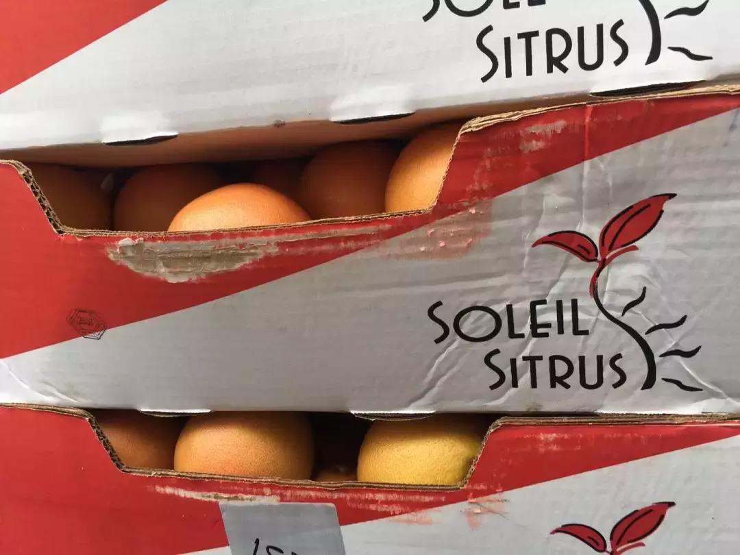 各国脐橙产量,全球柑橘排行榜