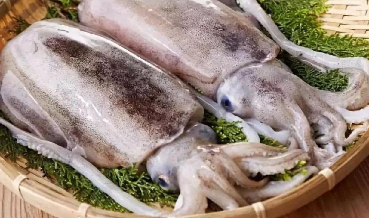 干货鱿鱼章鱼墨鱼有什么区别,墨鱼章鱼鱿鱼傻傻分不清